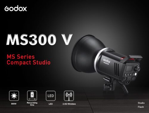godox ms300 v